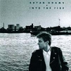 Bryan Adams Into The Fire Формат: Audio CD Лицензионные товары Характеристики аудионосителей 1988 г Альбом: Импортное издание инфо 9776q.